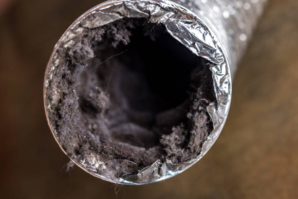 Best Duct Cleaning for Homes  in Walkerton, IN