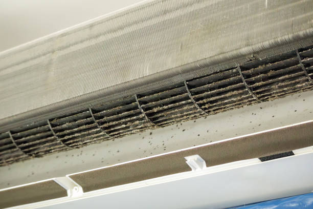 Best Home Air Vent Cleaning  in Walkerton, IN