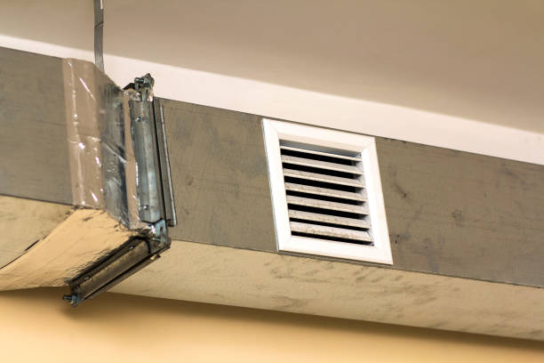 Best Affordable Duct Cleaning Services  in Walkerton, IN